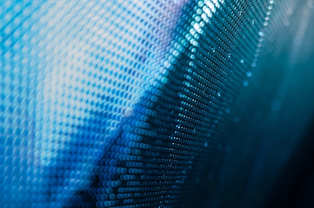 On-Chain Spotlight